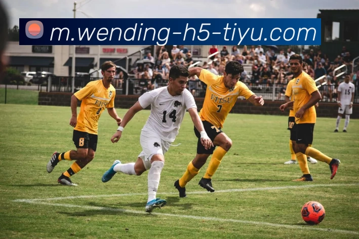 多媒体互动体验